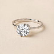Hidden Halo Round Solitaire Engagement Ring — Platinum — Maison ÉLAN